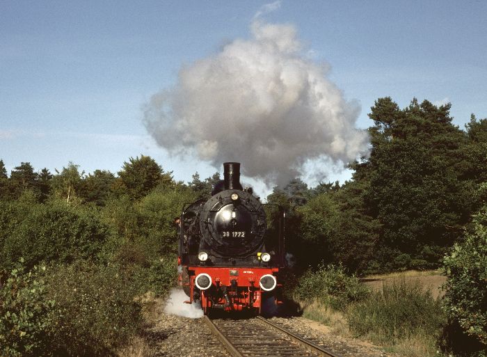 38 1772 mit Zug Buxtehude-Harsefeld, fotografiert hinterm Haltepunkt Birkenhain (hinter Buxtehude), um 14:55h am 04.10.1986