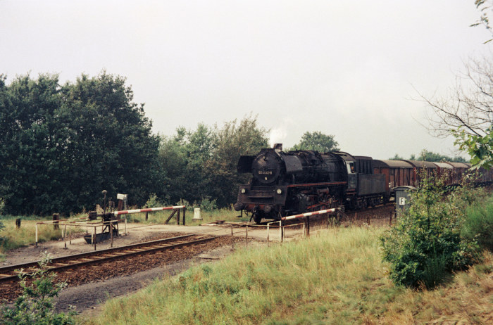 50 4082 Güterzug Richtung Schwanheide hinter Büchen, August 1974