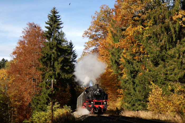 64 419 als Stammlok auf der Schwäbischen Waldbahn vor Zug Schorndorf-Welzheim, fotografiert hinter Laufenmühle im Wald (bei km 17,6), um 11:23h am 31.10.2021