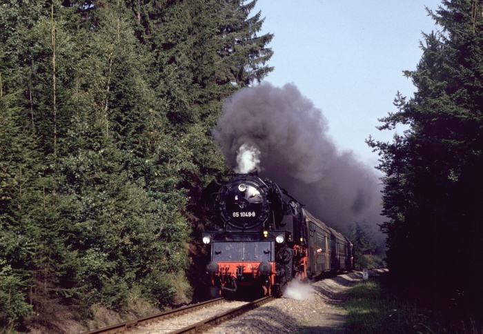 65 1049 im Wald hinter Herlasgrün, am 09.09.1989