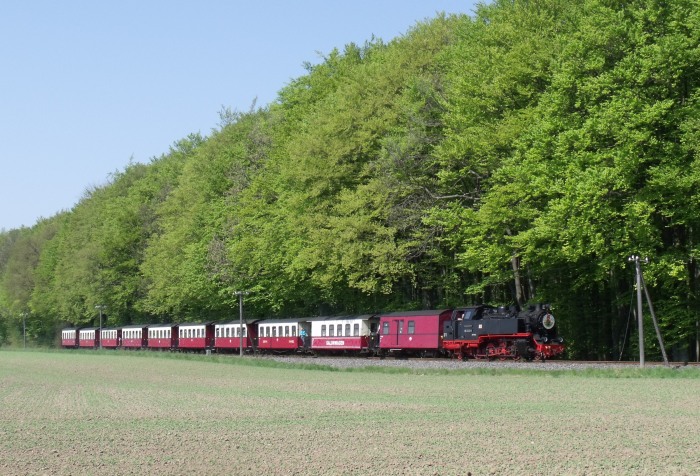 99 2322 mit Zug von Kühlungsborn West nach Bad Doberan, fotografiert am Waldrand nördlich von Heiligendamm, zwischen Hp Steilküste und Heiligendamm, um 13:00h am 24.04.2011