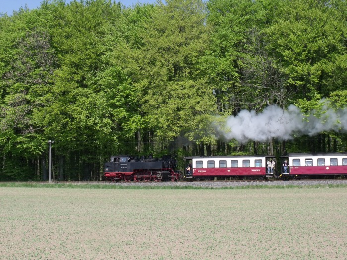 99 2323 Tv mit Zug Richtung Kühlungsborn, ebenfalls am Waldrand nördlich von Heiligendamm, um 13:08h am 24.04.2011