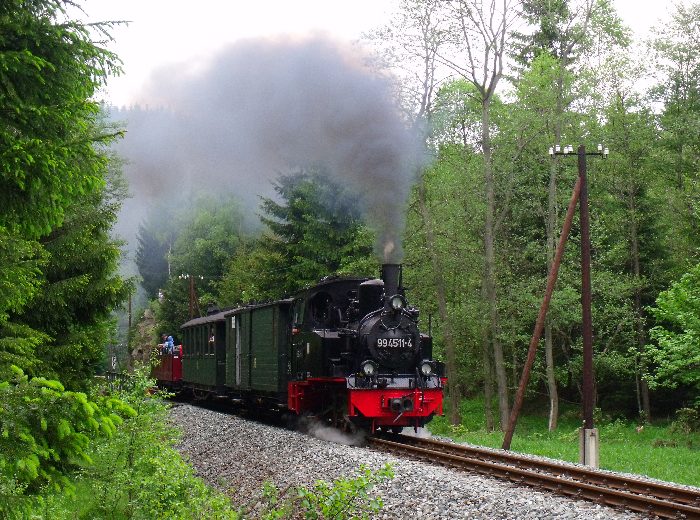 99 4511 mit Zug 51 hinter der Schwarzwasserbrücke und dem Loreleifelsen vor Einfahrt Schlössel, um 15:04h am 27.05.2012