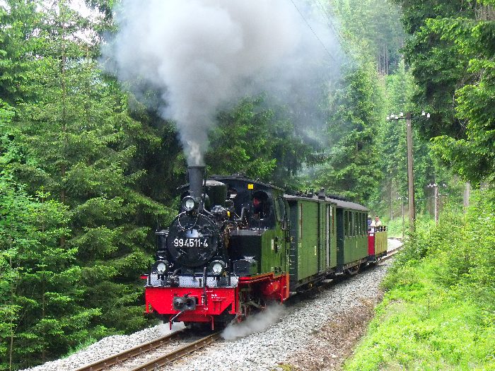 99 4511 mit Zug 49 kurz vor der engen Kurve im Tal weit hinter Schmalzgrube bei km 20,1, um 13:59h am 26.05.2012