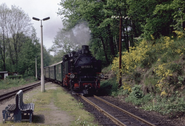 99 1789 mit P 14269 natürlich nach Kipsdorf und natürlich ein Reichsbahn-Zug! einfahrend in Seifersdorf, um 14:55h am 11.05.1990