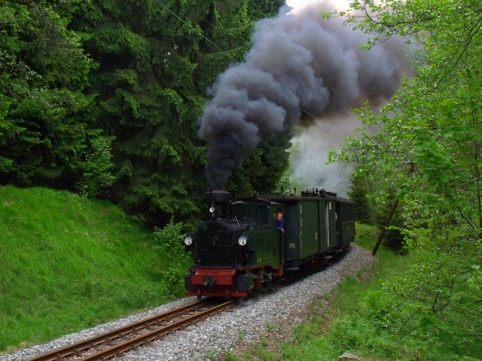No 54 mit Zug 45 auf der Preßnitztalbahn, vor der Einfahrt von Schlössel, um 12:08h am 27.05.2012