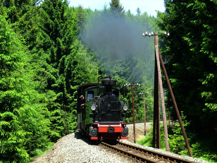 No 54 mit Zug 47 in der Kurve hinterm Haltepunkt, an dem aber leider durchgefahren wurde, direkt vorm Loreleifelsen im Schwarzwassertal, um 13:06h am 08.06.2014