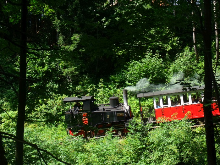Lok 3 nun rückwärts (Tv) und abwärts fahrend nach Jenbach, kurz unterhalb von Eben im Wald, um 11:31h am 04.08.2017
