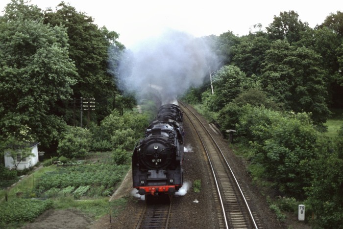01 137 + 03 001 vor Sonderzug an der Einfahrt von Arnsdorf, 19.06.1982