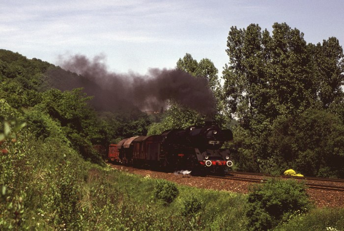 41 1225 Nahgüterzug kurz vor Zeutsch, 02.06.1985