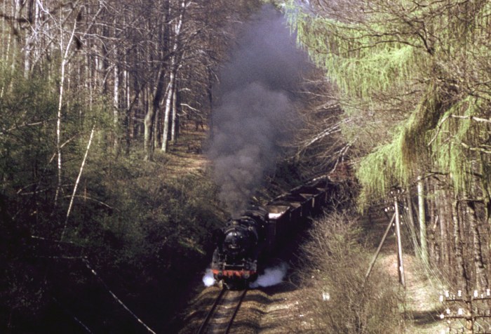 44 0601 mit schwerem Sand + Kohle Richtung Triptis, fotografiert vom Tunnelportal aus im Wald vorm Oppurger Tunnel, um 11:08h am 11.04.1981