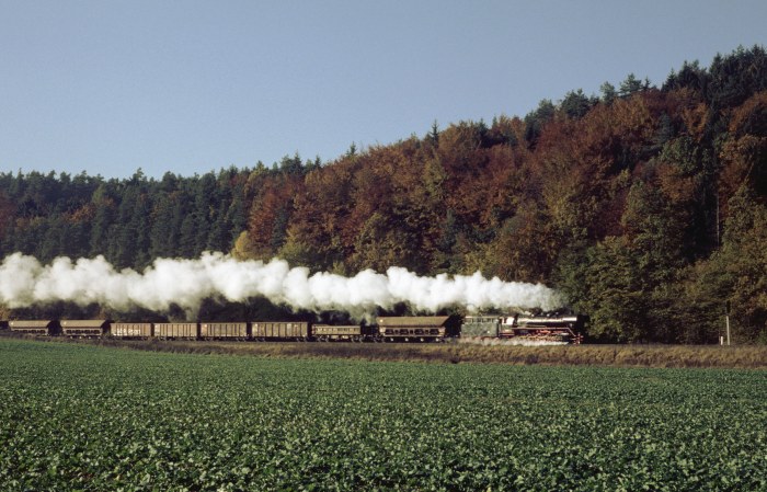 44 0093 mit Güterzug 80170 auf der Werrabahn bei Windenhof, 29.10.1999