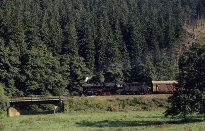 50 3661 mit Ng 69354 hinter Dittersdorf, 31.08.1983
