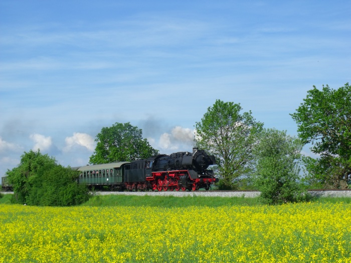 50 0072 mit Bayernbahn-Sonderzug BYB 79640 Richtung Wassertrüdingen, fotografiert zwischen Mörsbrunn und Bettendorf südlich von Oettingen, um 9:53h am 30.05.2019