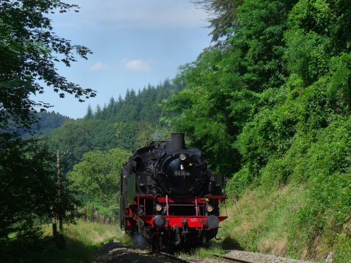 64 419 mit Zug Schorndorf→Welzheim, hinter Steinbach und dem Strümpfelbachtal-Viadukt, um 13:07h am 14.08.2016