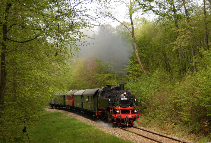 64 518 mit Zug von Amstetten nach Gerstetten in der Steigung im Wald kurz vor Stubersheim, um 9:45h am 01.05.2024