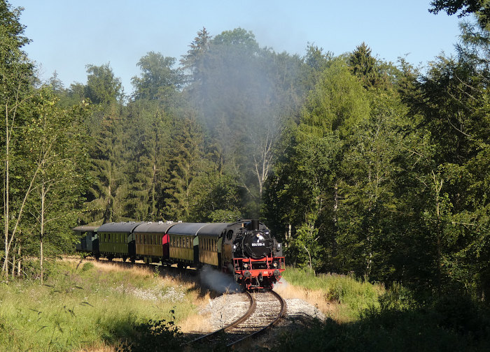 64 518 mit UEF-Zug Amstetten-Gerstetten im Wald hinter Amstetten, um 9:40h am 14.07.2024