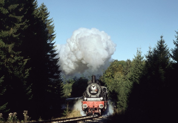 75 1118 im Wald hinter Amstetten, am 05.10.1997