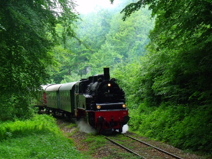 75 1118 mit Zug nach Gerstetten, am Benzwang hinter Amstetten im Wald kurz vor Stubersheim, um 12:47h am 03.06.2012