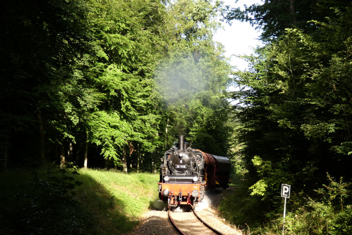 75 1118 mit kurzem Güterzug (drei leere Schotter-Selbstentladewagen) am oberen Benzwang im Wald vor Stubersheim, um 8:24h am 09.07.2022