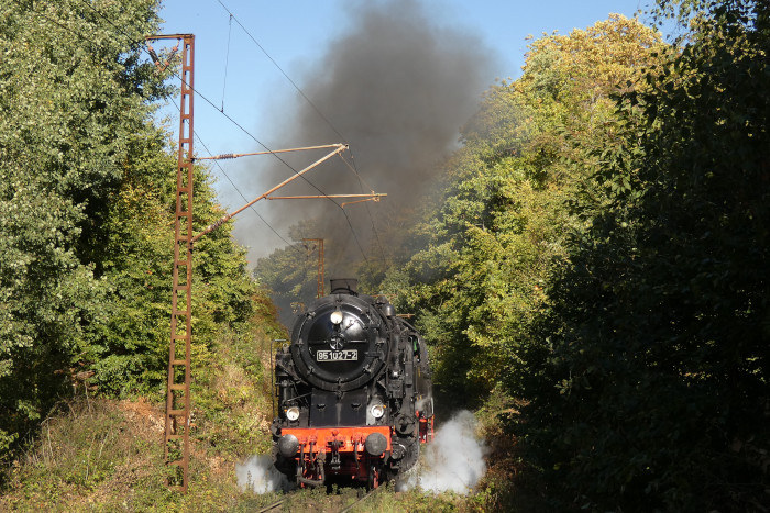 95 027 mit dem üblichen Sonderzug von Blankenburg nach Rübeland, direkt im Einschnitt am Eichenberg hinter Michaelstein, um 13:40h am 03.10.2025