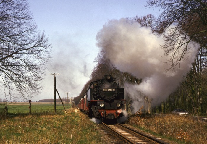 099 902 mit P 14141 an der Allee zwischen Heiligendamm und Bad Doberan, exakt dort, wo später wieder das Ausweichgleis am Haltepunkt Rennbahn installiert wurde, um 10:55h am 20.04.1992