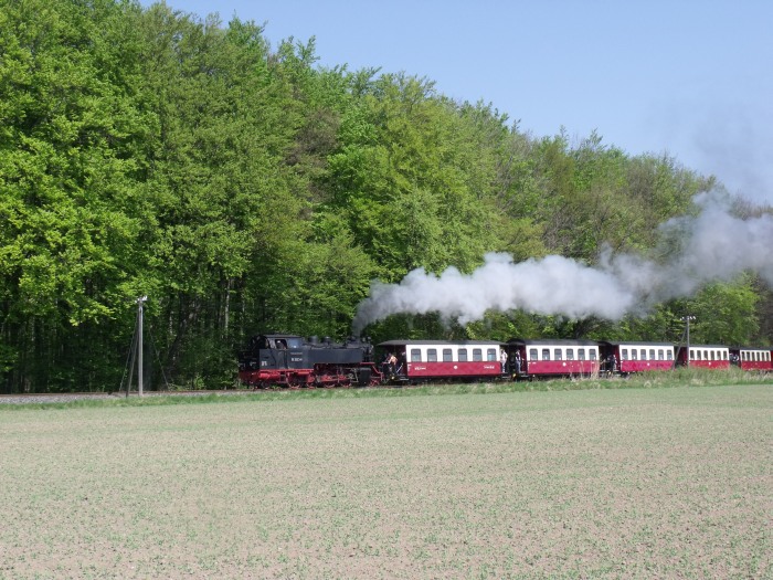 99 2322 Tv mit Zug Richtung Kühlungsborn, am Waldrand nördlich von Heiligendamm, um 13:08h am 24.04.2011