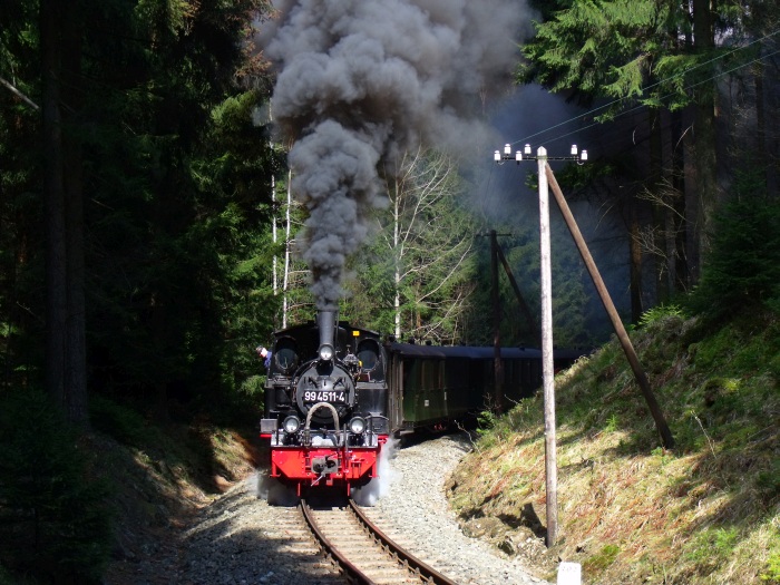 99 4511 mit Zug Nr.15 auf der Preßnitztalbahn (4 Wagen) in der Kurve im Einschnitt zwischen Schmalzgrube und Schlössel (Schwarzwassertal) bei km 20,2, um 15:30h am 30.04.2017