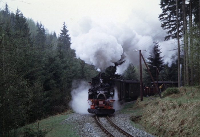 99 1568 mit Personenzug der Preßnitztalbahn vor der Kurve zwischen Schmalzgrube und Schlössel, am 05.05.2005 um 14:30h