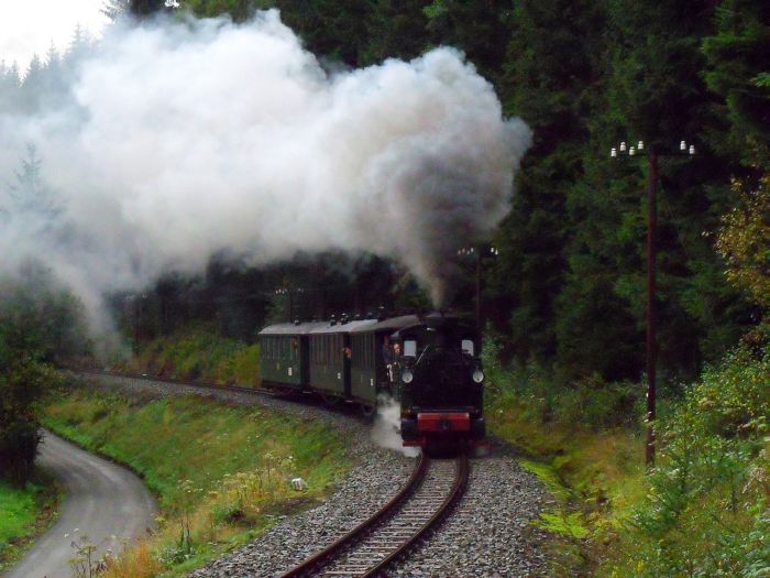 No 54 mit Zug 11 bergauf krachend im Schwarzwasser-Tal oberhalb von Schmalzgrube, um 13:50h am 27.08.2011