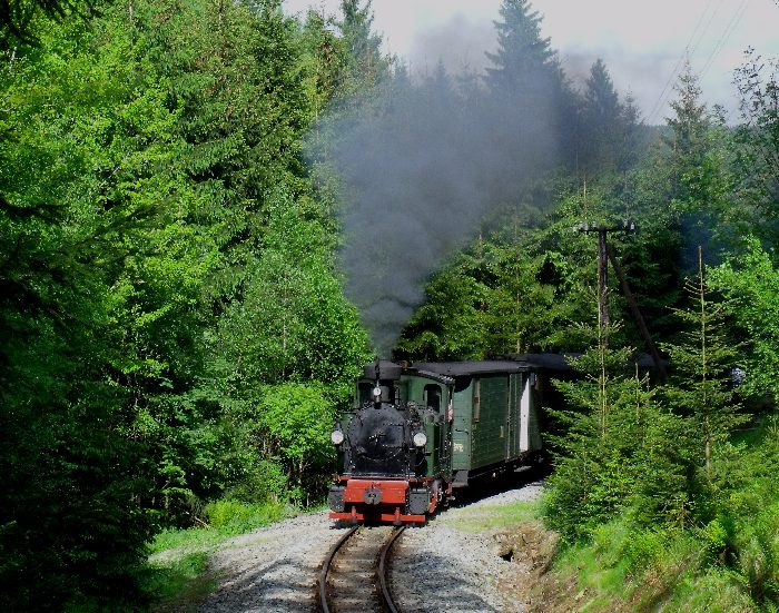 No 54 mit Zug 55 auf der Preßnitztalbahn, direkt auf dem kleinen Wanderweg-Bü in der Kurve im Tal weit oberhalb von Schmalzgrube, um 17:02h am 26.05.2012