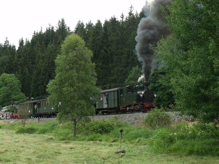 No 54 mit Zug Nr.13,geschoben von Diesellok 199 007, Anfahrt am Hp Forellenhof, um 13:26h am 24.07.2011