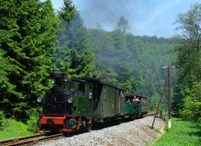 No 54 mit Zug 45 auf der Preßnitztalbahn, zwischen der Schwarzwasser-Brücke am Loreleifelsen und der Einfahrt von Schlössel, um 12:14h am 07.06.2014