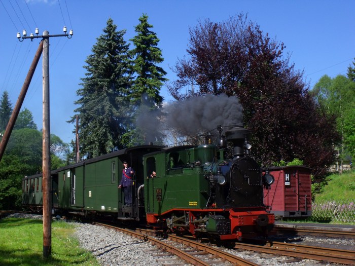 No 54 mit Zug 53 auf der Preßnitztalbahn, einfahrend im Bf Schlössel, um 16:12h am 07.06.2014