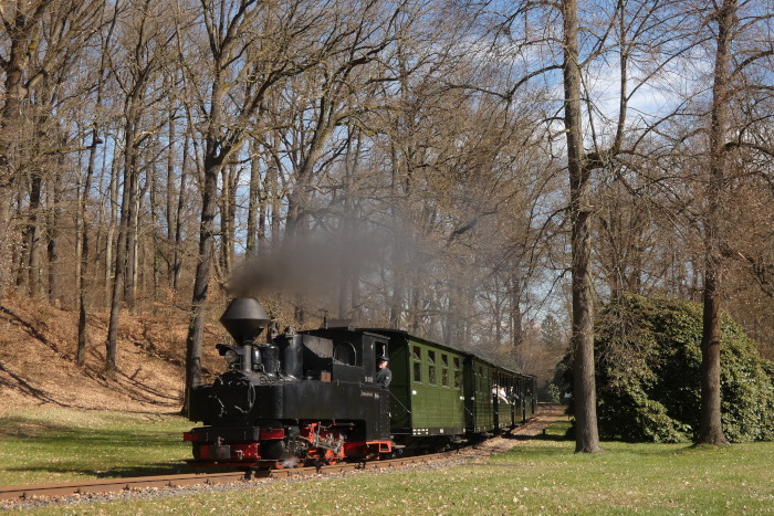 99&nbsp;3315&nbsp; mit Zug Bad Muskau&rarr;Weißwasser,hinter Ausfahrt Bad Muskau im Kurparkgelände nahe Straße, Kurve hinter den Rododendronbüschen, um 10:38h am 05.04.2026