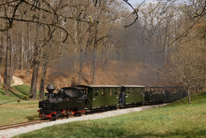99&nbsp;3315&nbsp; mit Zug Bad Muskau&rarr;Weißwasser in der Kurve an der Obstbaumwiese (oberhalb von Bad Muskau) am Waldrand, um 13:53h am05.04.2026