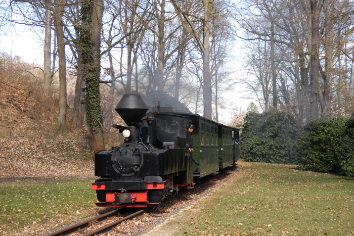 99&nbsp;3315&nbsp; mit Zug Bad Muskau&rarr;Weißwasser hinter Ausfahrt Bad Muskau im Kurparkgelände nahe Straße, zwischen den Rododendronbüschen, um 13:48h am 06.04.2026