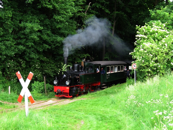 HOYA mit Zug Nr.105 rollt im Hp Vilser Holz ein, um 11:30h am 27.05.2007