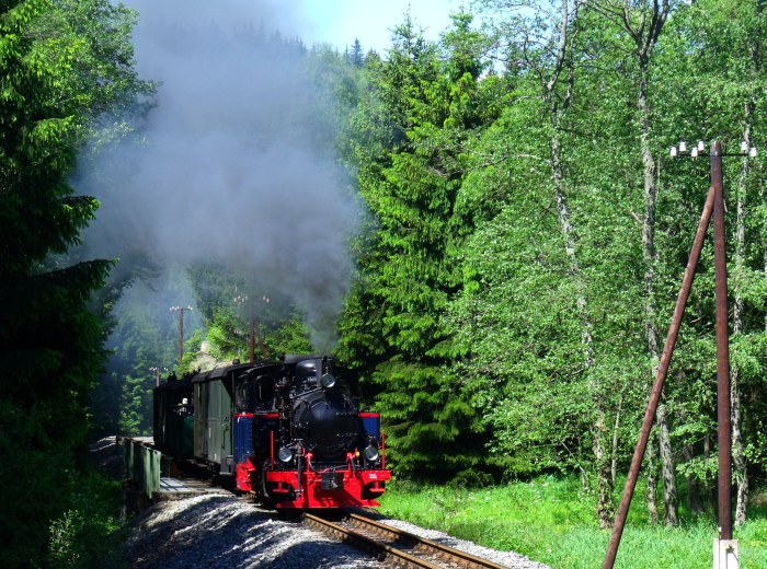 AQUARIUS C mit Zug 51 hinter der Schwarzwasserbrücke hinterm Loreleifelsen vor Schlössel, um 15:06h am 07.06.2014