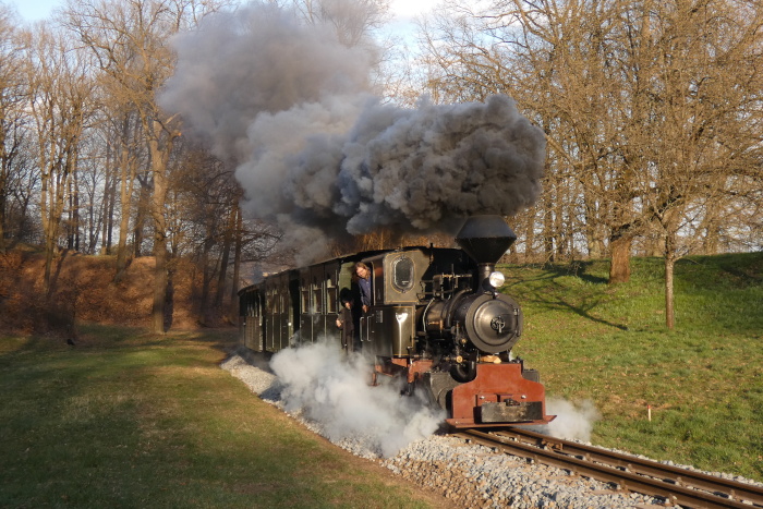 Lok&nbsp;HILAX&nbsp;mit dem letzten Zug des Tages Bad Muskau&rarr;Weißwasser in der Steigung oberhalb Bad Muskau am Waldrand und direkt neben dem Obstbaumwiesenhang, um 18:15h am 03.04.2026
