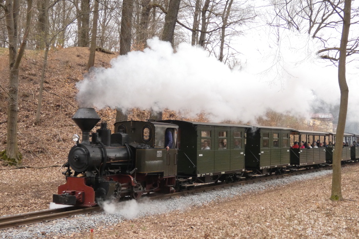 Lok&nbsp;HILAX&nbsp; mit Zug Bad Muskau&rarr;Weißwasser im kurzen Waldabschnitt zwischen den Bäumen in den Kurven oberhalb von Bad Muskau, um 12:12h am 04.04.2026