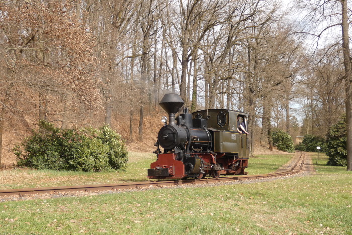 HILAX&nbsp; allein als Lz oberhalb von Bad Muskau im Kurparkgelände nahe der Bundesstraße, um 12:02h am 05.04.2026