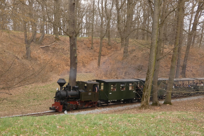 HILAX&nbsp; mit Zug Bad Muskau&rarr;Weißwasser im kurzen Waldabschnitt zwischen den Bäumen in den Kurven oberhalb von Bad Muskau, um 15:19h am 05.04.2026