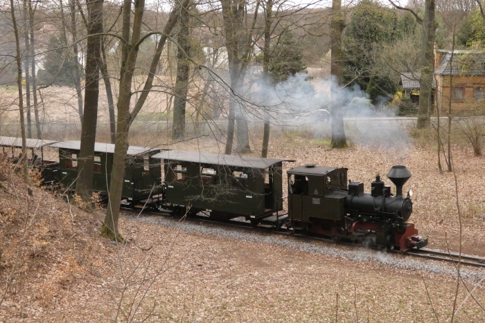 HILAX&nbsp; mit letztem Zug dieses Tages Bad Muskau&rarr;Weißwasser im kurzen Waldabschnitt zwischen den Bäumen in den Kurven oberhalb von Bad Muskau, fotografiert vom nördlichen &bdquo;Berg&ldquo;hang, um 18:15h am 05.04.2026