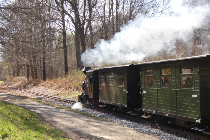 HILAX&nbsp; mit Zug Bad Muskau&rarr;Weißwasser, fotografiert am Waldrand oberhalb von Muskau, um 15:22h am 06.04.2026