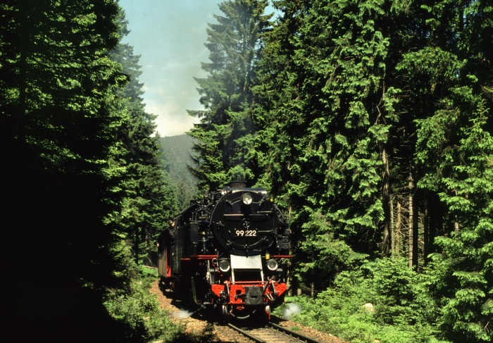 99 222 mit Zug 8941 am Eckerloch, am 02.06.2000