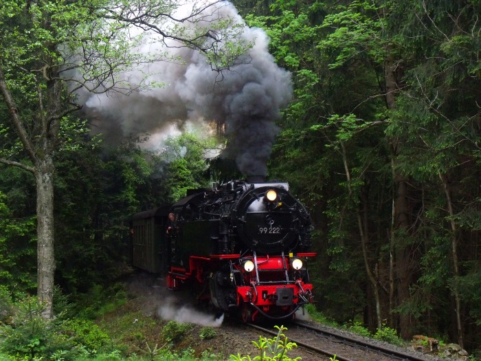 99 222 mit dem HSB-Traditionszug zum Brocken (Nr.8991), fotografiert im Wald etwa 1km hinter dem Bahnhof Schierke, um 12:39h am 03.06.2015