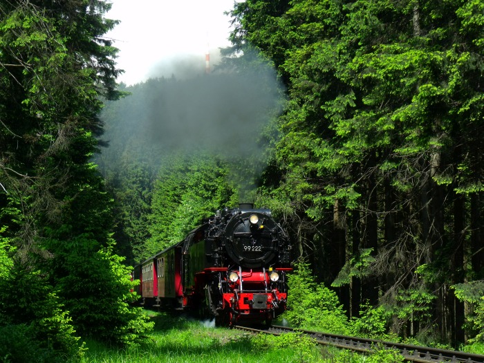 99 222 mit Nordhäuser Zug 8920dem zum Brocken, an bestens bekanntem Ort, nämlich kurz hinter dem Lichtsignal am Eckerloch, um 13:24h am 08.06.2016