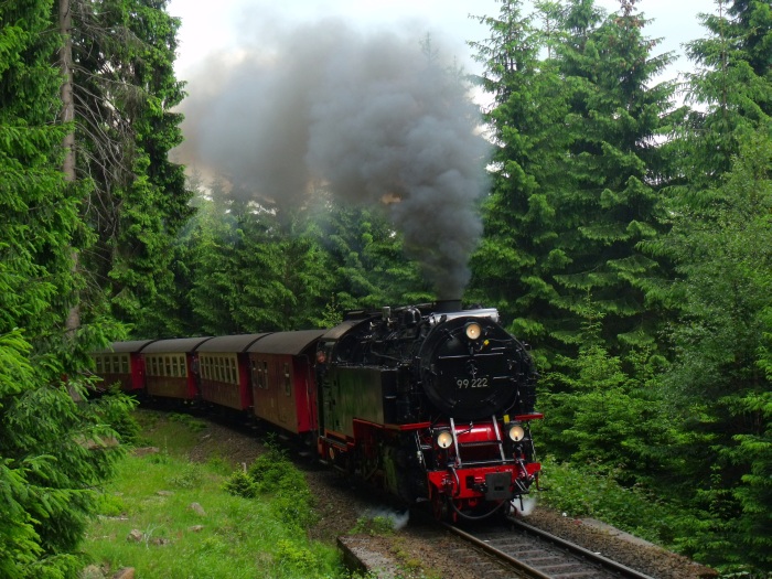 99 222 mit Zug 8935 hinter den Waldkurven vor Schierke, um 14:40h am 10.06.2017