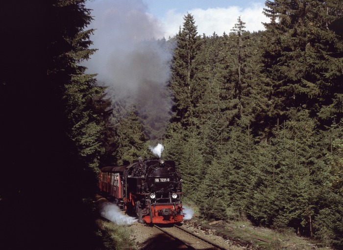 99 7231 mit Zug 8920 am Eckerloch, am 18.09.1993